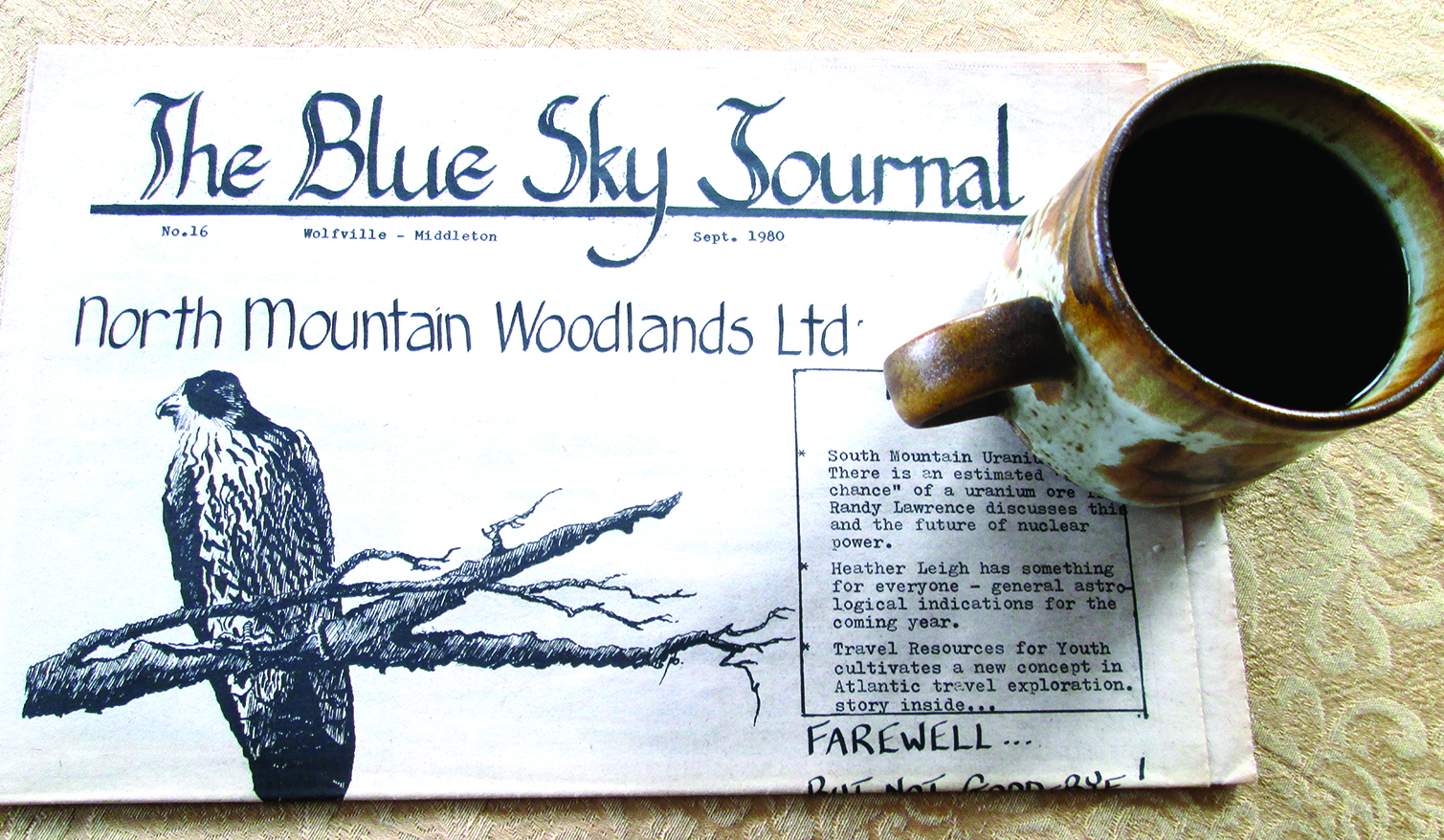 The Blue Sky Journal