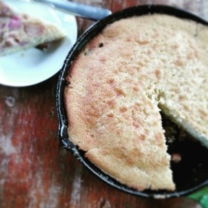 Margie’s Rhubarb Pudding Cake