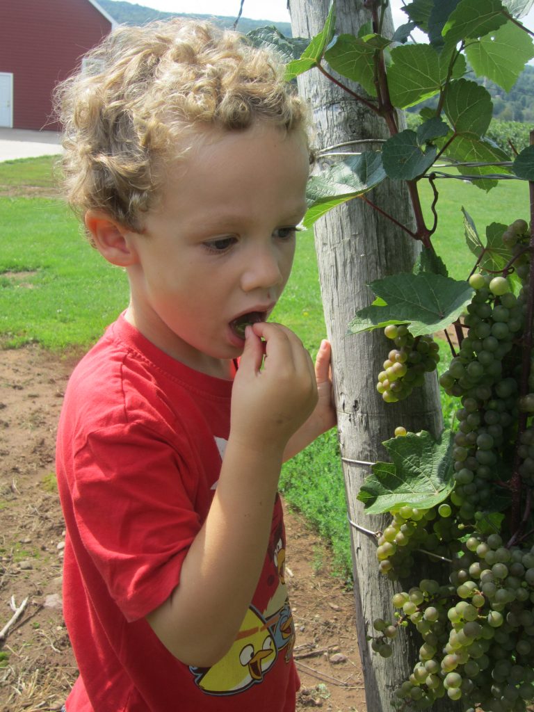 The Wolfville Magic Winery Bus: Good Valley Family Fun