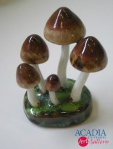 Acadia University Art Gallery: The Lorenzen Collection of Mushrooms