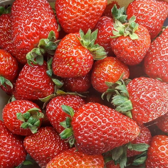 Recipe: Strawberry Rhubarb Crunch Cheesecake