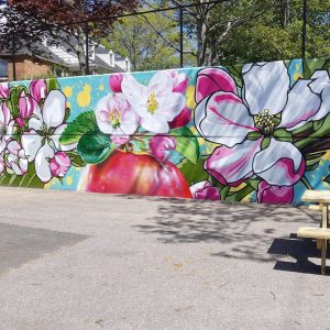 In Photos: New Murals and Jane’s Walk in Kentville