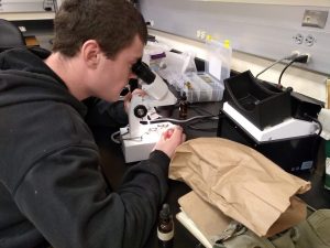 What’s Growing at Acadia: Student-Led Research