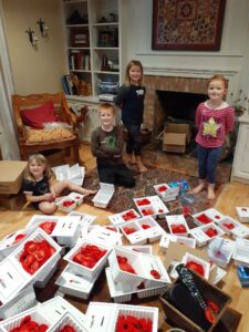 Record Poppy Sales for Wolfville Legion